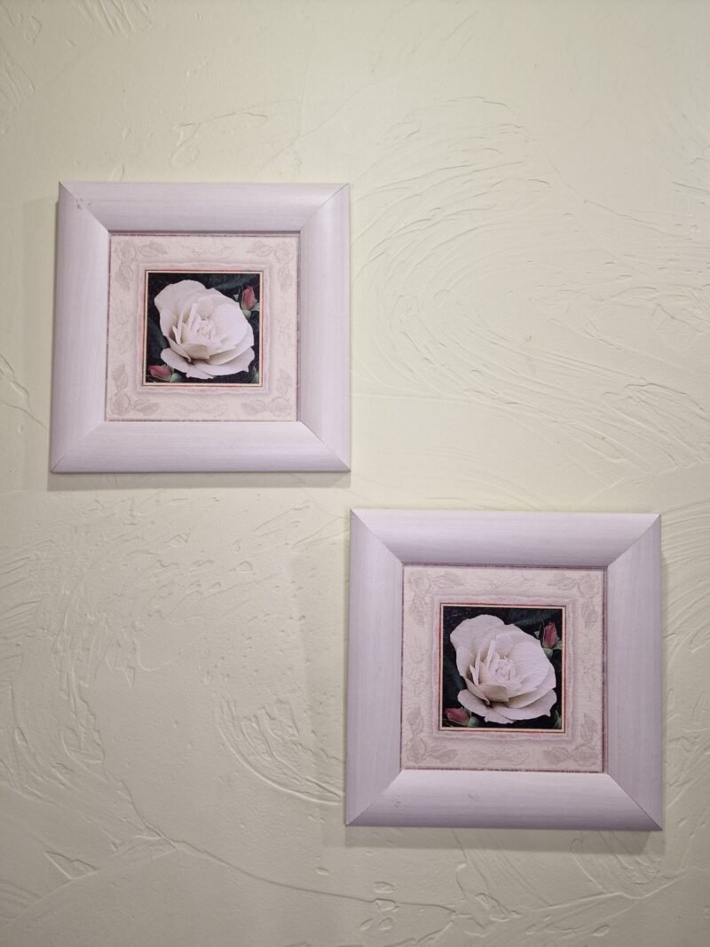 2 Paveikslai "Gėlė" 23x23 cm