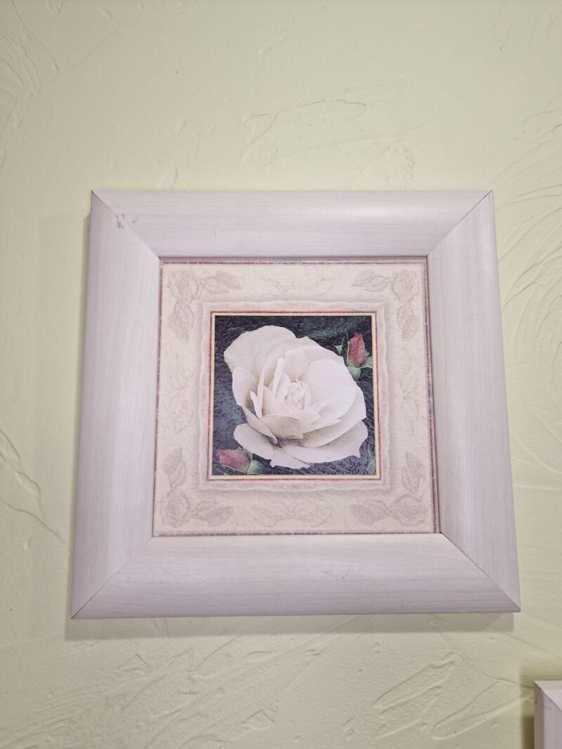 2 Paveikslai "Gėlė" 23x23 cm
